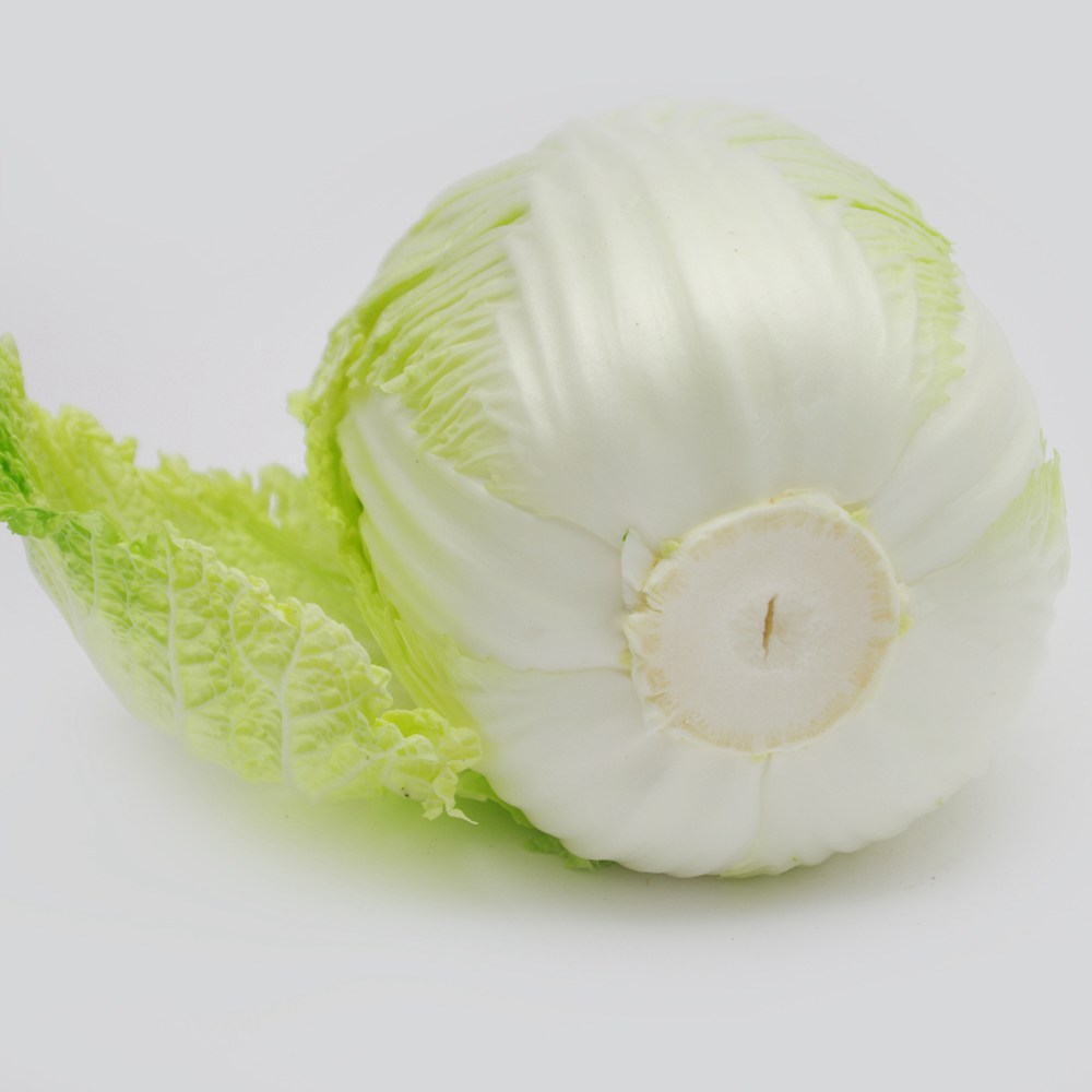 【燎原特惠】新鲜大白菜绿色种植绿色无公害蔬菜新鲜青菜顺丰